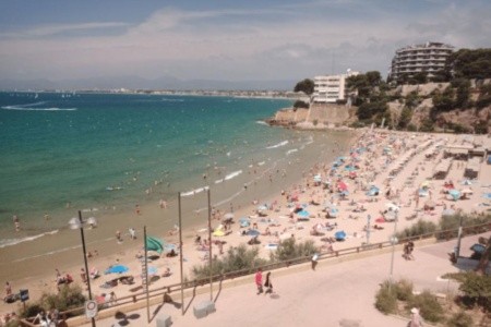 California Garden - 21