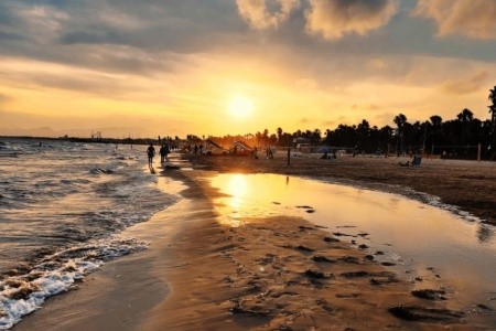 California Garden - 22