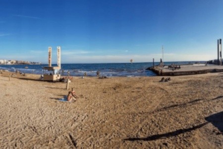 California Garden - 23