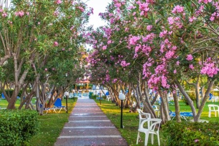 Continental Palace - 7