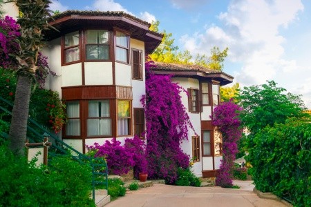 Letoonia Club & Hotel - 9