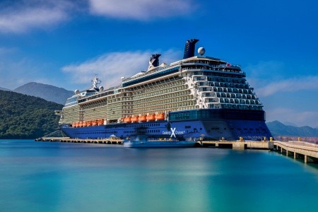 Celebrity Silhouette - 2