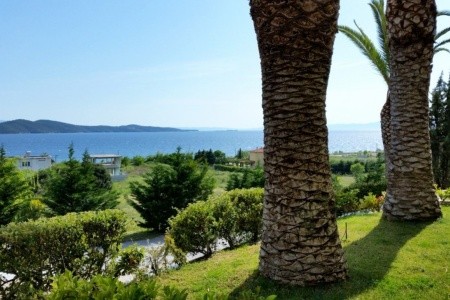 Alexandros Palace Hotel & Suites - 3