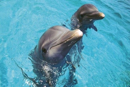 Resonance Musique Varadero (Ex. Memories Varadero) - 7