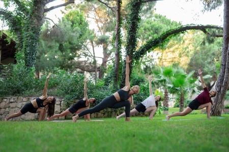 Papillon Belvil - 218