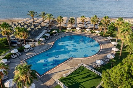 Papillon Belvil - 221