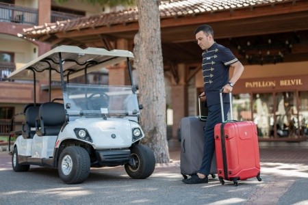 Papillon Belvil - 228