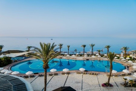 Papillon Belvil - 232