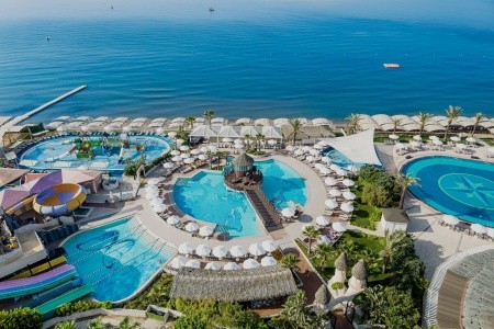 Papillon Belvil - 233