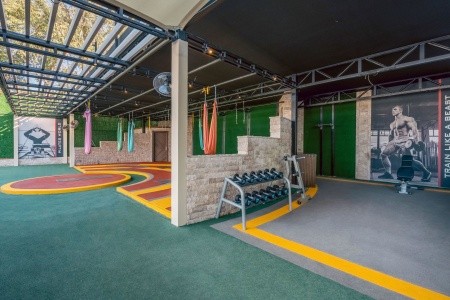 Papillon Belvil - 236