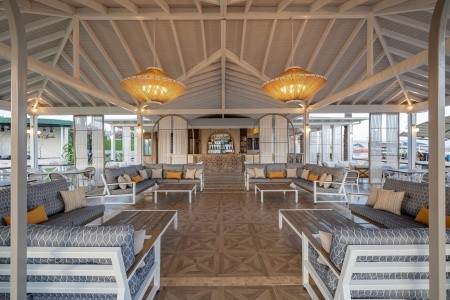 Papillon Ayscha - 181