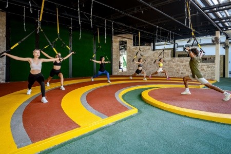 Papillon Belvil - 237