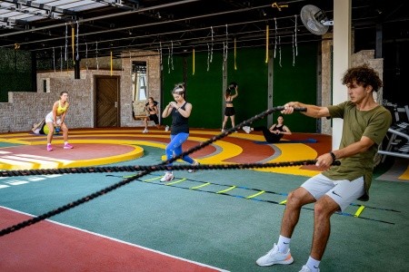 Papillon Belvil - 238