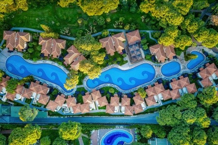 Papillon Ayscha - 184