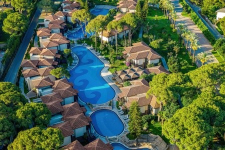 Papillon Ayscha - 185