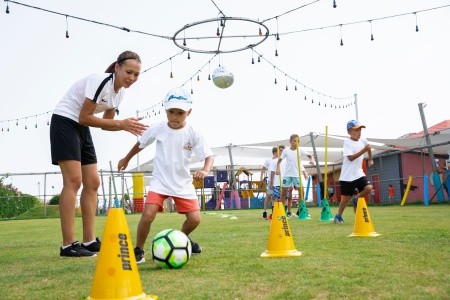 Papillon Belvil - 240