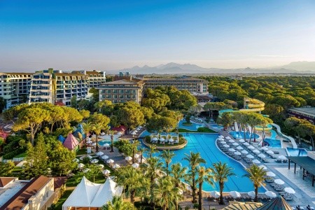 Papillon Ayscha - 187