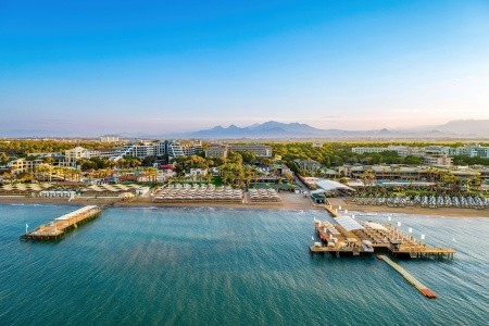 Papillon Ayscha - 188