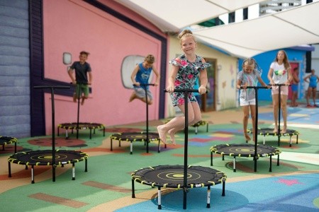 Papillon Belvil - 242