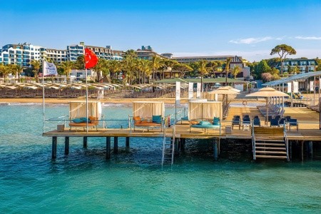 Papillon Ayscha - 189