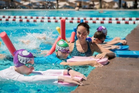 Papillon Belvil - 243