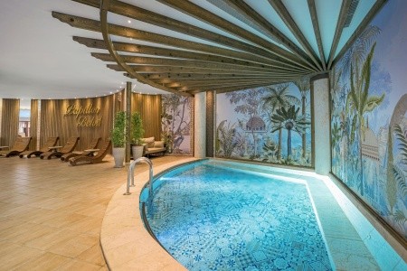 Papillon Belvil - 244