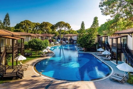 Papillon Ayscha - 190