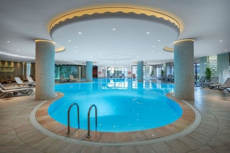 Papillon Belvil - 245