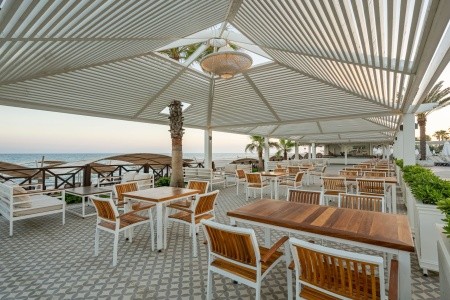 Papillon Belvil - 247