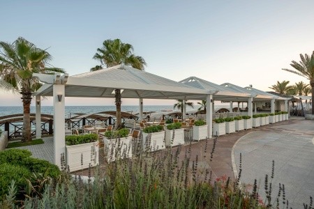 Papillon Belvil - 250