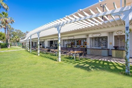 Papillon Belvil - 255