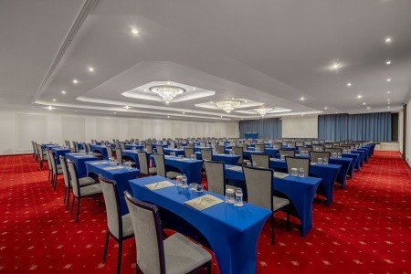 Papillon Belvil - 258