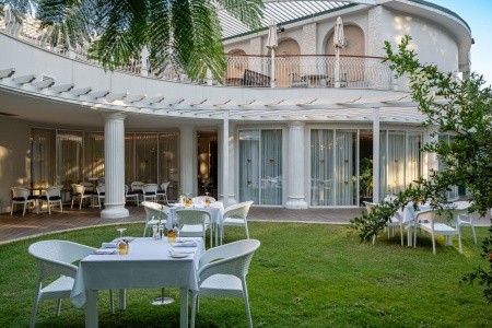 Papillon Belvil - 264