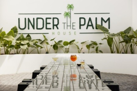 Kassandra Palace & Spa - 3