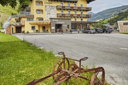 Gungau - 31