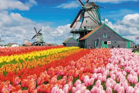 Květinový park Keukenhof s návštěvou Amsterdamu - 1