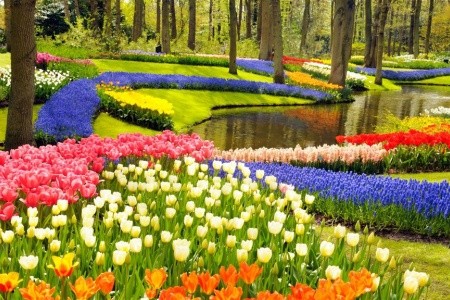 Květinový park Keukenhof s návštěvou Amsterdamu - 4