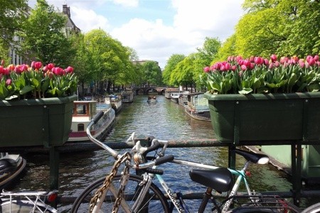 Květinový park Keukenhof s návštěvou Amsterdamu - 5