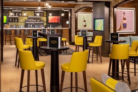 Celebrity Silhouette - 7