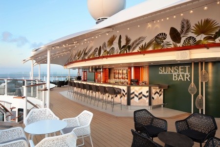 Celebrity Silhouette - 14