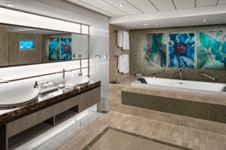 Celebrity Silhouette - 29