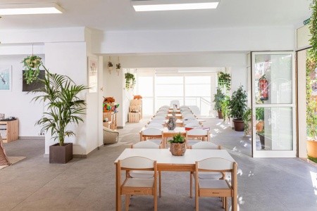 Španielsko Mallorca Innside Alcudia 5 dňový pobyt Polpenzia Letecky Letisko: Praha July 2026 (29/07/26- 2/08/26)