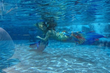 Thajsko Pattaya Worita Cove 14 dňový pobyt Raňajky Letecky Letisko: Praha March 2026 (10/03/26-23/03/26)