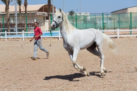 Concorde El Salam Hotel Sharm El Sheikh - Sport - 10