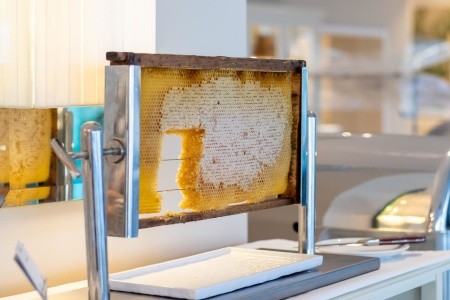 Secret Paradise (Nea Kalikratia) - 154