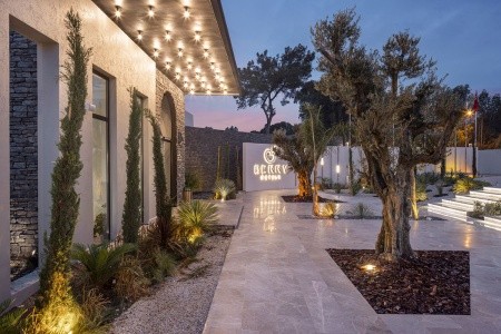 Berry Blue (Ex. Maya World Side) - 4