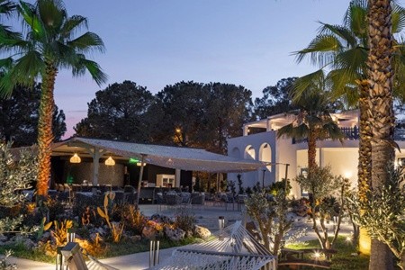 Berry Blue (Ex. Maya World Side) - 7