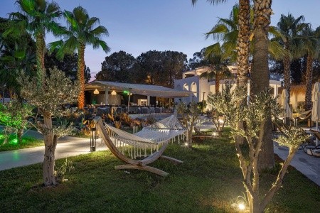 Berry Blue (Ex. Maya World Side) - 8