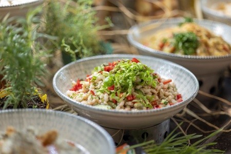 Berry Blue (Ex. Maya World Side) - 51