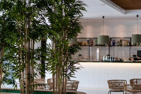 Španielsko Mallorca Thb Bamboo Alcudia (Ex.